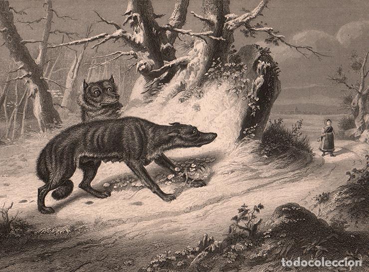 Arte: GRABADO AL ACERO DE 1849, LOS LOBOS, CUADRO DE PHILIPPE LEDIEU. GRAB&Oacute; A. H. PAYNE, BOOK OF ART