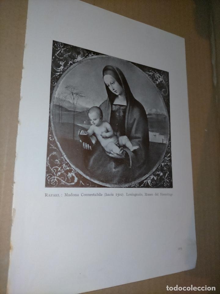 Arte: LAMINA HOJA HUECOGRABADO - RELIGIOSO , VIRGEN - MADONA CONNESTABILE