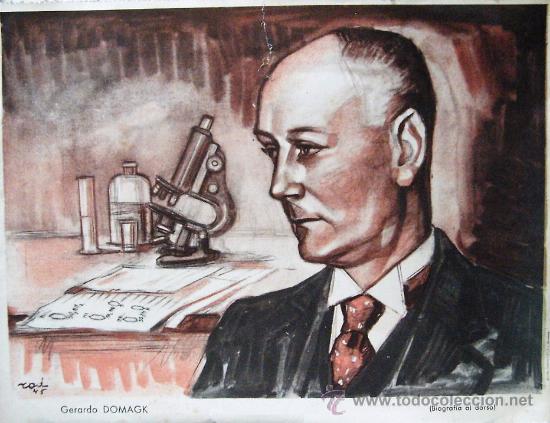 Art: Colecci&oacute;n WASSERMANN 1945 grandes descubridores de la medicina Gerardo Domagk.