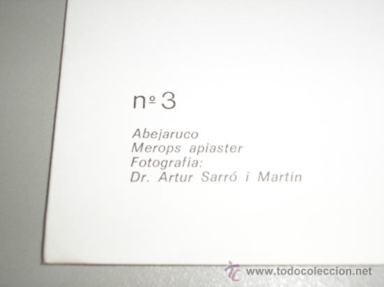 Arte: LAMINA N&ordm; 3 ABEJARUCO - Foto 2