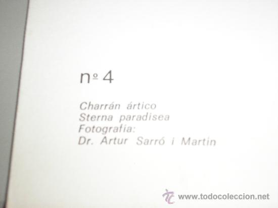 Arte: LAMINA N&ordm; 4 CHARRAN ARTICO - Foto 2