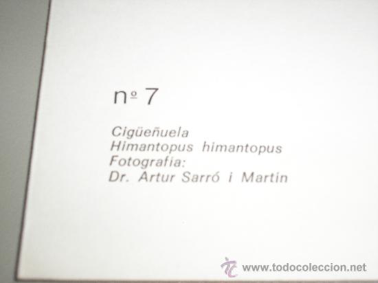 Arte: LAMINA N&ordm; 7 CIG&Uuml;E&Ntilde;UELA - Foto 2