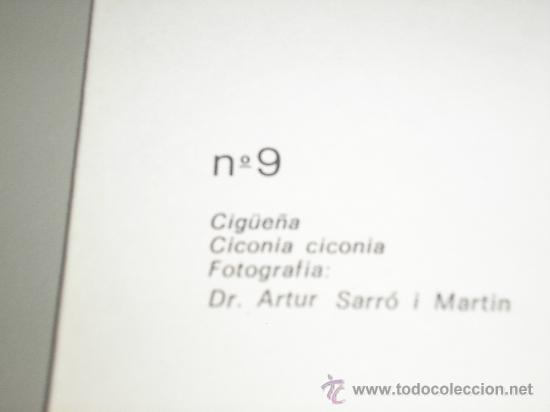 Arte: LAMINA N&ordm; 9 CIG&Uuml;E&Ntilde;A - Foto 2