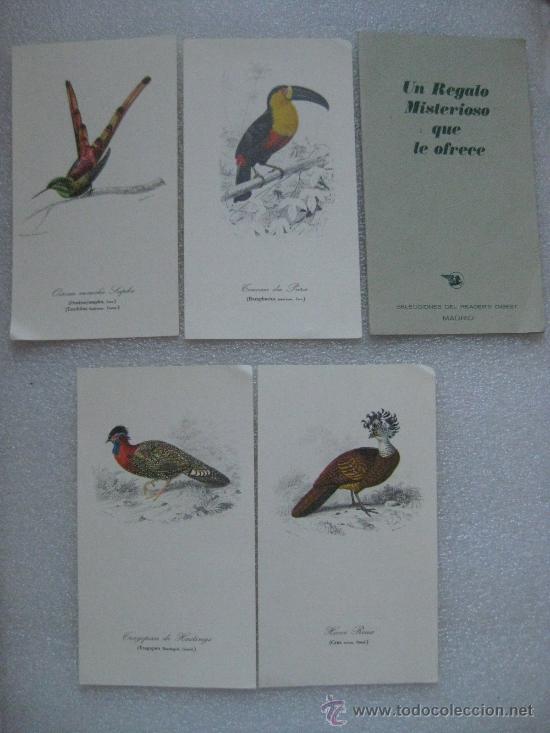 Art: AVES - 4 PRECIOSAS LAMINAS EDITADAS POR READER'S DIGEST A&Ntilde;OS 60