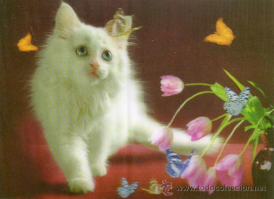 Art: BONITA LAMINA, TAMA&Ntilde;O POSTAL, CUADRO EFECTO 3D, GATO, PARA ENMARCAR