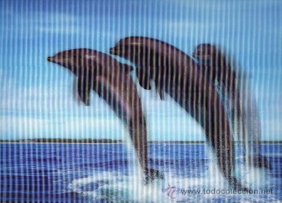 Kunst: BONITA LAMINA, TAMA&Ntilde;O 25X35, CUADRO EFECTO 3D, DELFINES ,PARA ENMARCAR