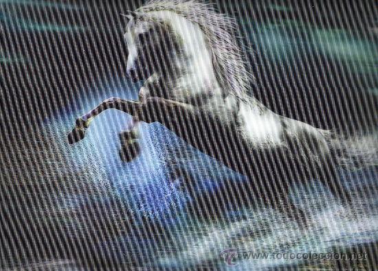 Art: BONITA LAMINA, TAMA&Ntilde;O 25X35, CUADRO, EFECTO 3D, CABALLO, PARA ENMARCAR
