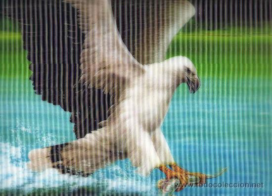 Art: BONITA LAMINA, TAMA&Ntilde;O 25X35, CUADRO, EFECTO 3D, AGUILA, PARA ENMARCAR