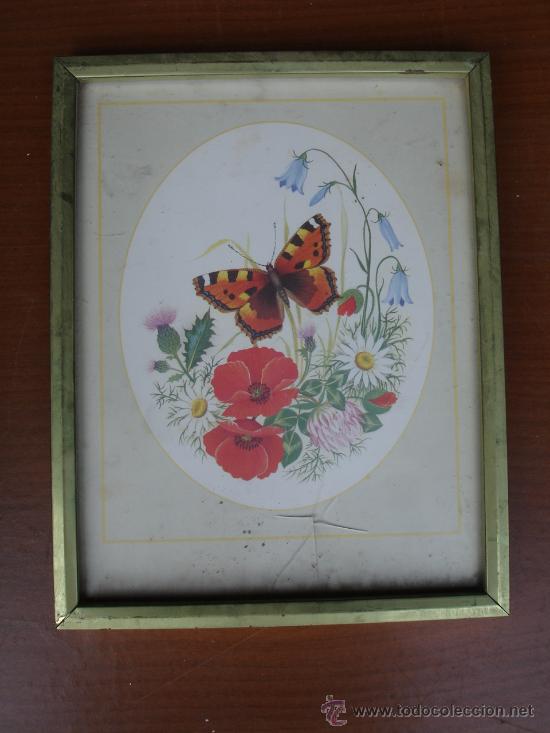 Arte: cuadro mariposa - Foto 1