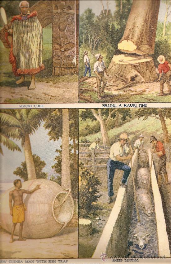 Art: LAMINA INGLESA - TIPOS DE NUEVA ZELANDA