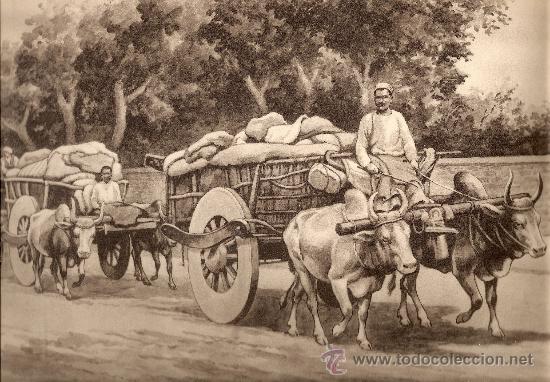 Art: LAMINA INGLESA - TREN DE BUEYES EN LA INDIA
