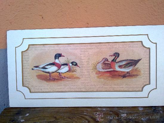 Arte: BONITA LAMINA EN MADERA. - Foto 1