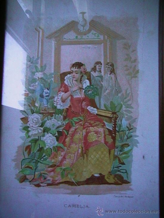 Arte: cuadros cocina hierbas - Foto 4