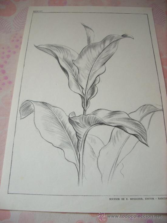 Kunst: LAMINA ANTIGUA DIBUJO EMILIO FREIXAS 1964