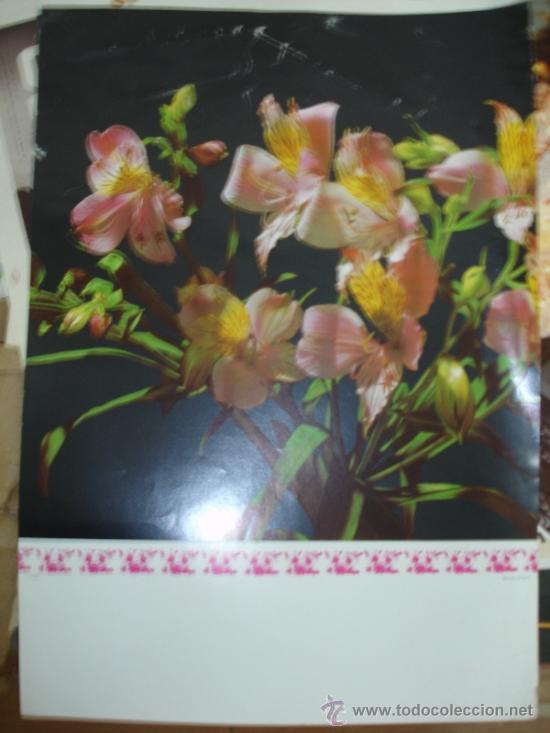 Arte: FLORES - Foto 1