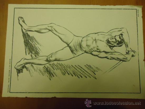 Art: LAMINA ANTIGUA DIBUJO EMILIO FREIXAS a&ntilde;os 60 sucesor de e. meseguer editor barcelona