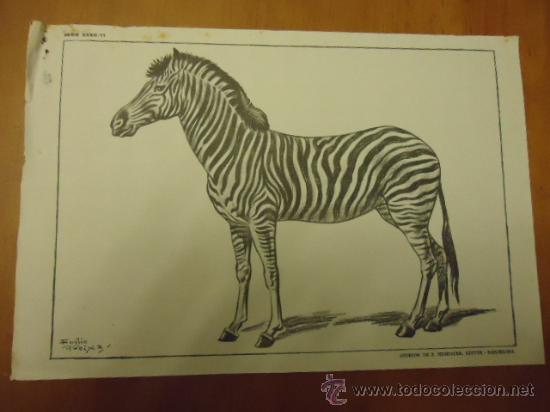 Arte: LAMINA ANTIGUA DIBUJO EMILIO FREIXAS a&ntilde;os 60 sucesor de e. meseguer editor barcelona