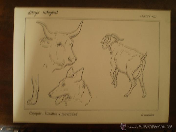 Kunst: DIBUJO INTEGRAL LAMINA 8 CON SELLO POR DETRAS