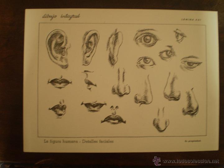 Kunst: DIBUJO INTEGRAL LAMINA 21 CON SELLO POR DETRAS