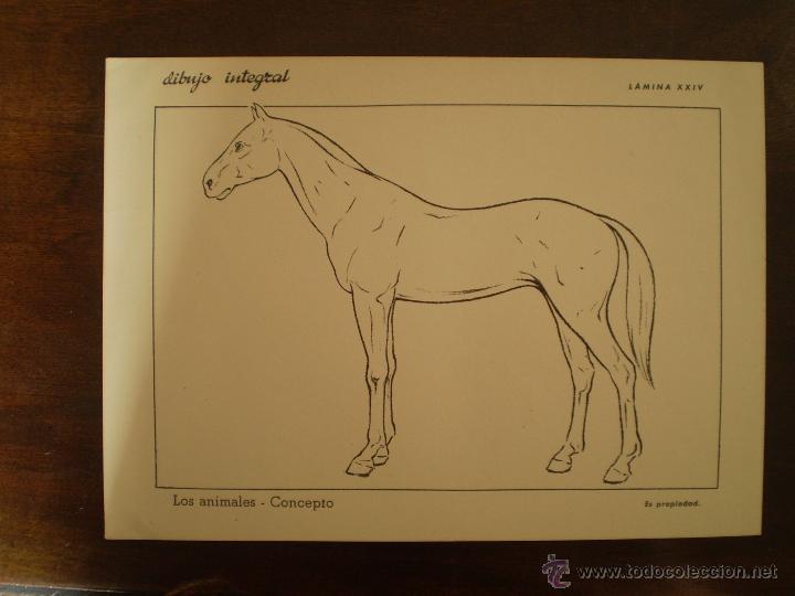 Kunst: DIBUJO INTEGRAL LAMINA 24 CON SELLO POR DETRAS