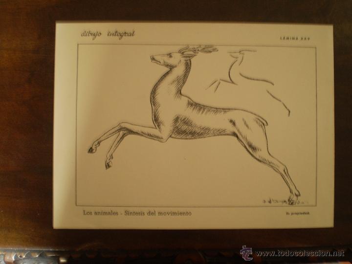 Kunst: DIBUJO INTEGRAL LAMINA 25 CON SELLO POR DETRAS