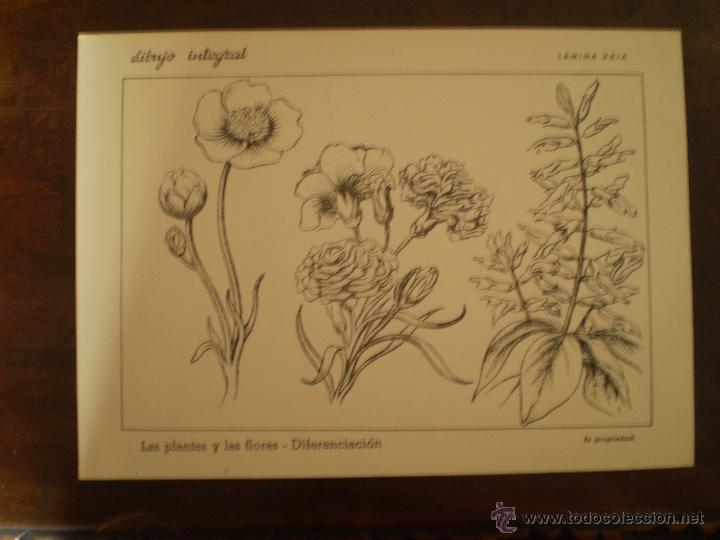 Kunst: DIBUJO INTEGRAL LAMINA 29 CON SELLO POR DETRAS