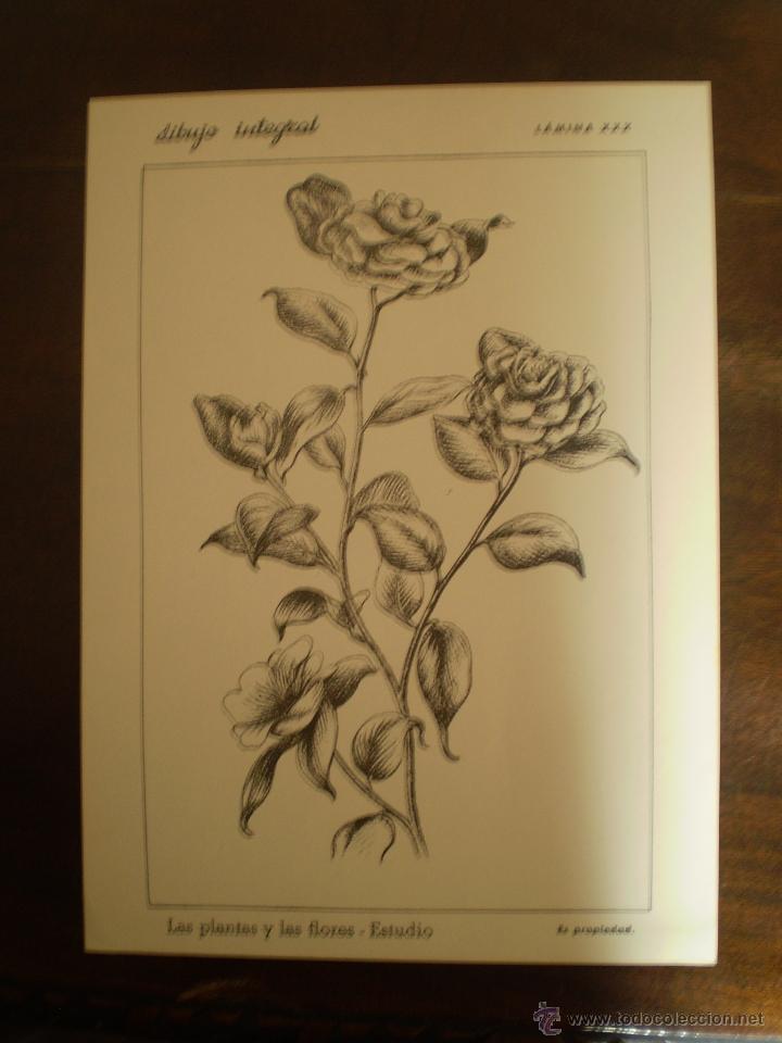 Kunst: DIBUJO INTEGRAL LAMINA 30 CON SELLO POR DETRAS