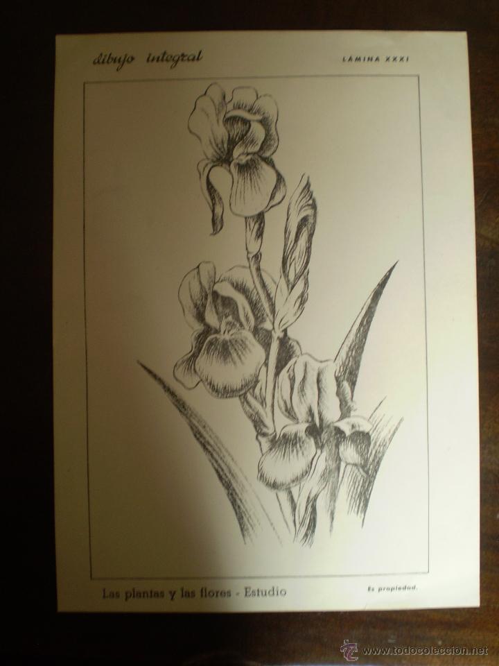 Kunst: DIBUJO INTEGRAL LAMINA 31 CON SELLO POR DETRAS