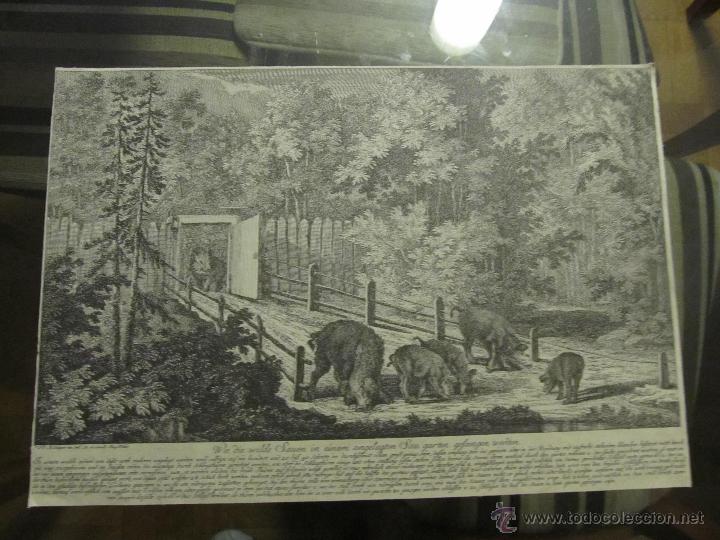 Art: LAMINA ANTIGUA DE ESCENA DE CAZA O SIMILAR EN ALEMAN