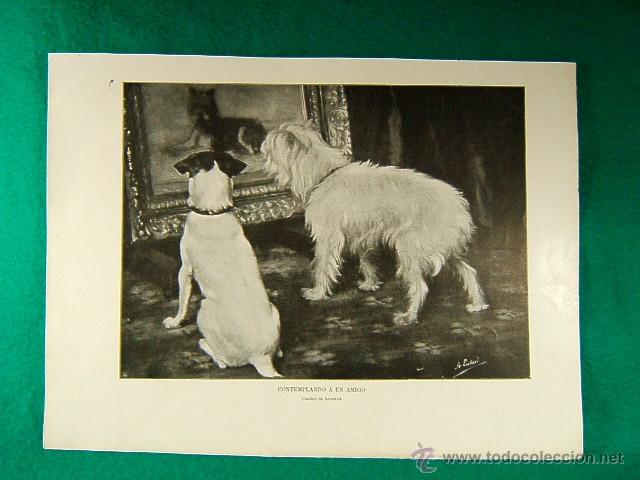 Art: CONTEMPLANDO A UN AMIGO-CUADRO DE LEOTARD-357-ILUSTRACION-1910...