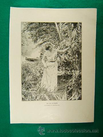 Art: EN EL BOSQUE-UNDERVOOD-374-ILUSTRACION-1910...