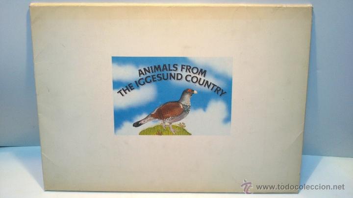 Art: PUBLICACION ECOLOGICO-NATURALISTA. VERSION ESPA&Ntilde;OLA DE ANIMALS FROM THE IGGESUND CONTRY, SWEDEN. VER