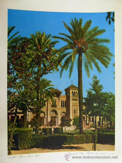 Arte: Sevilla Parque de Maria Luisa 1959 - Foto 1