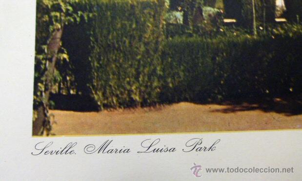 Arte: Sevilla Parque de Maria Luisa 1959 - Foto 2