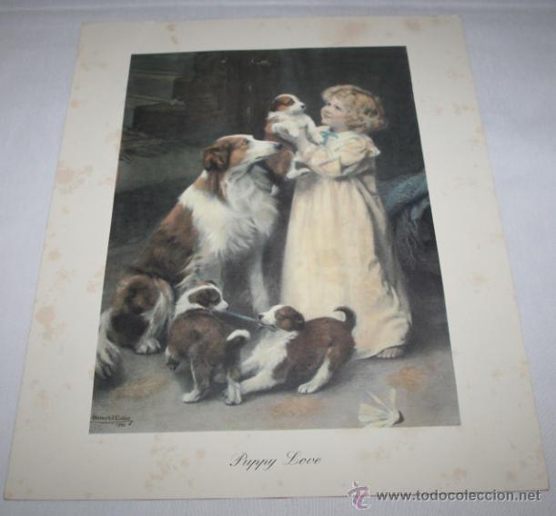 Kunst: BONITA LAMINA - PUPPY LOVE - ARTHUR J. ELSLEY 1905