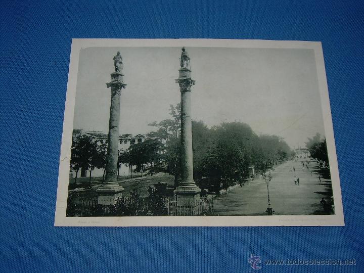 Kunst: ANTIGUA LAMINA DE LA ALAMEDA DE HERCULES - SEVILLA  23X17 CMS - TIENE UN LEVE ROTITO LADO IZQUIERDO