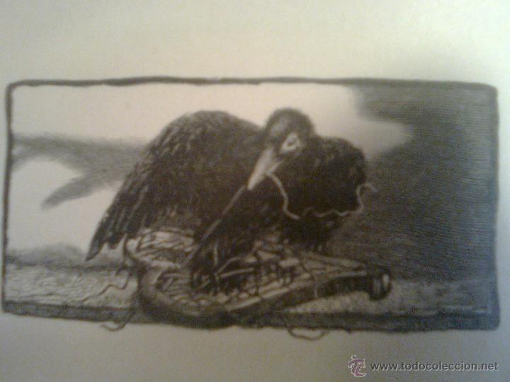 Arte: L&aacute;mina Poe Complete works 6 (1902)- The raven - El cuervo -Repro facsimil cartulina A3