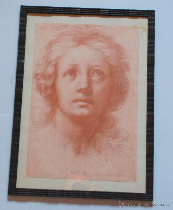 Kunst: FRANCESCHINI B. -- N&ordm; 1411 TESTA DI DONNA -- I.D.E.A. FRATELLI ALINARI / FIRENZE