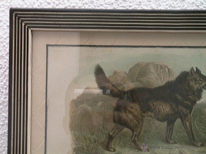 Arte: vista de la moldura ... hay reflejos en el cristal - Foto 9