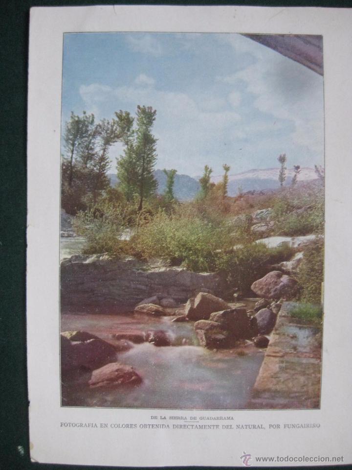 Art: BLANCO Y NEGRO- FOTOGRAFIA EN COLOR DE FUNGAIRI&Ntilde;O - SIERRA DEL GUADARRAMA -ILUSTRACION REVISTA