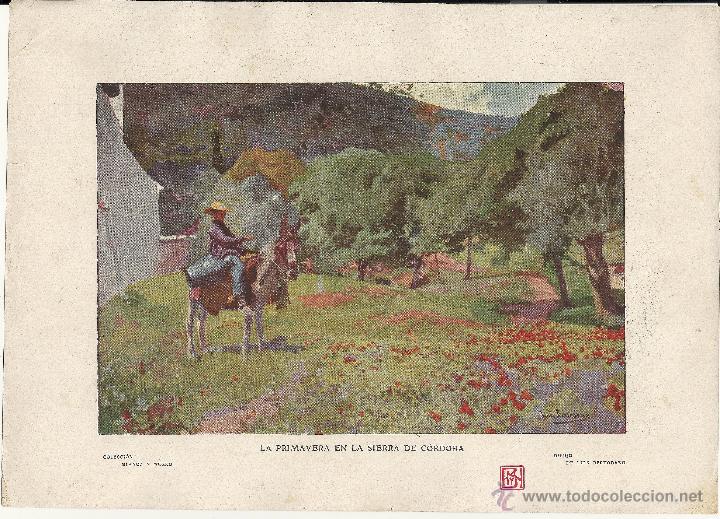 Art: BLANCO Y NEGRO - LAMINA DEL BLANCO Y NEGRO-DIBUJO L.BERTODANO-PRIMAVERA EN LA SIERRA DE CORDOBA
