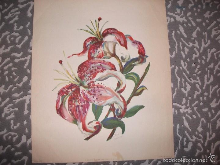 Arte: Preciosa l&aacute;mina antigua - Foto 1