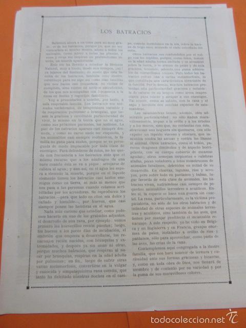 Arte: LAMINA - LOS BATRACIOS - Foto 3