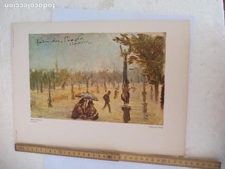 Arte: Sal&oacute;n del Prado.. LAMINA XXXVI MUSEO PICASSO. BARCELONA. S.P.A.D.E.M. PARIS 1973