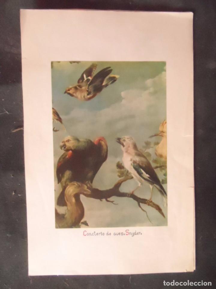 Art: snyder concierto de aves lamina de oleo antiguo