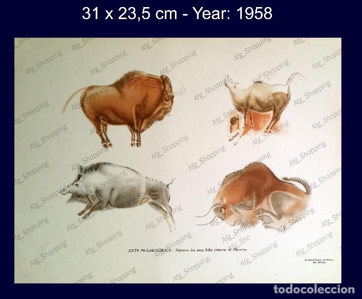 Art: PINTURAS DE ALTAMIRA - COLECCION LAS MARAVILLAS ARTISTICAS DEL MUNDO - 1958