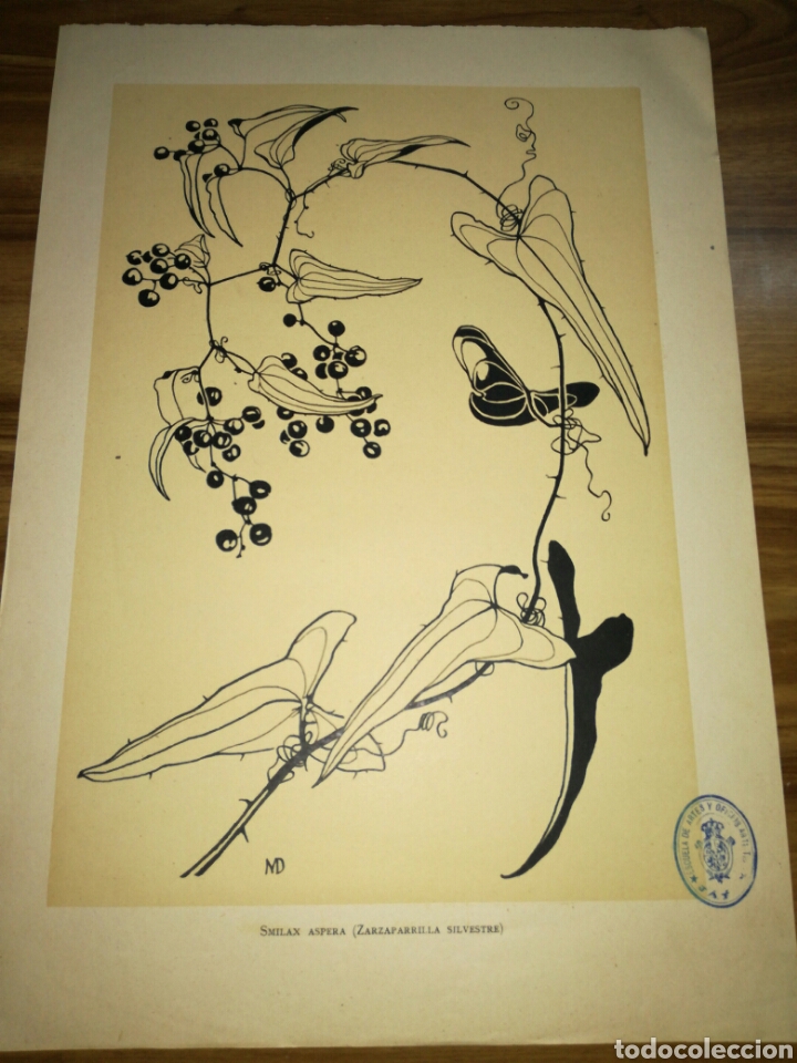 Arte: L&aacute;mina antigua - Foto 1