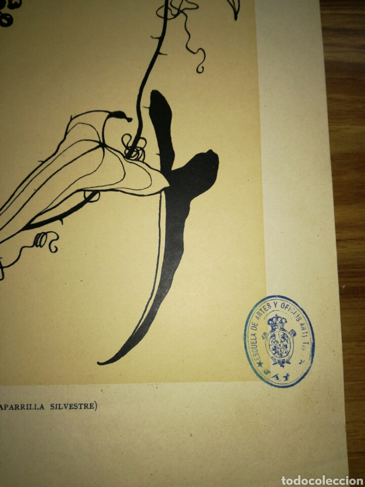 Arte: L&aacute;mina antigua - Foto 3