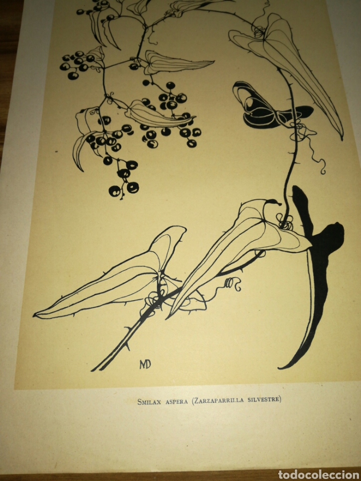 Arte: L&aacute;mina antigua - Foto 4