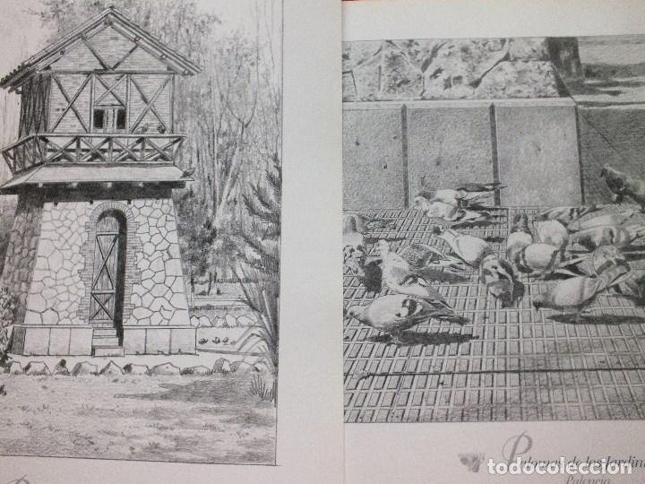 Art: LOTE DE 2 L&Aacute;MINAS PALOMAR DE LOS JARDINILLOS  PALENCIA 24